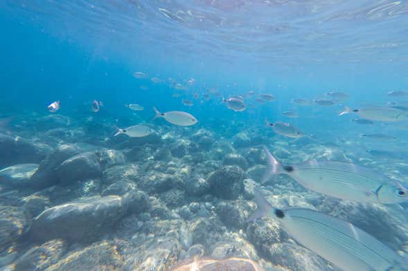 Bautismo de buceo en Calpe