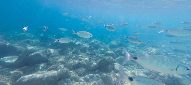 Bautismo de buceo en Calpe