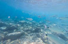 Bautismo de buceo en Calpe 