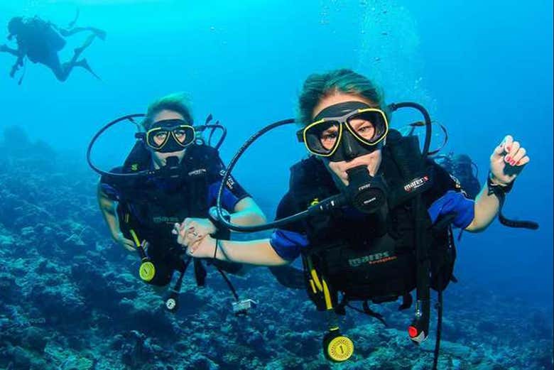 Disfrutando del bautismo de buceo 