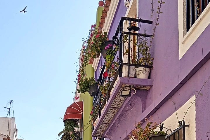 Un balcón con flores en las calles de Calpe
