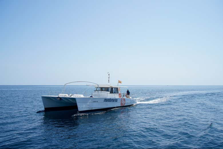 Montez à bord d'un catamaran