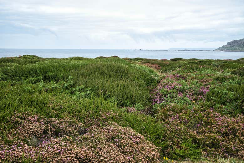 Punta do Boi
