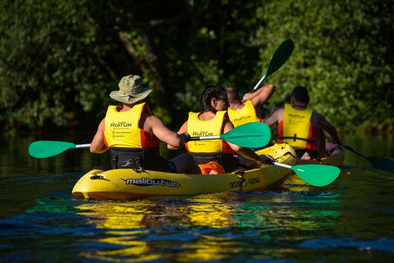 Admirando los paisajes fluviales desde el kayak