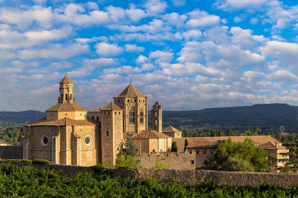 Escursione al Monastero di Poblet