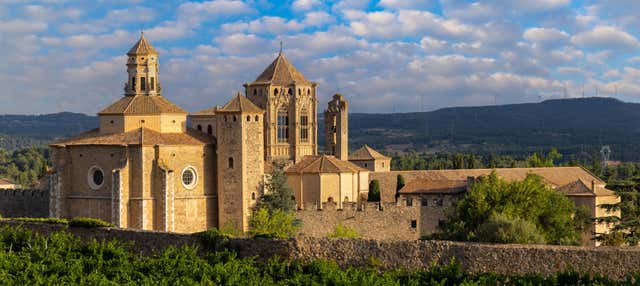 Excursión al Monasterio de Poblet