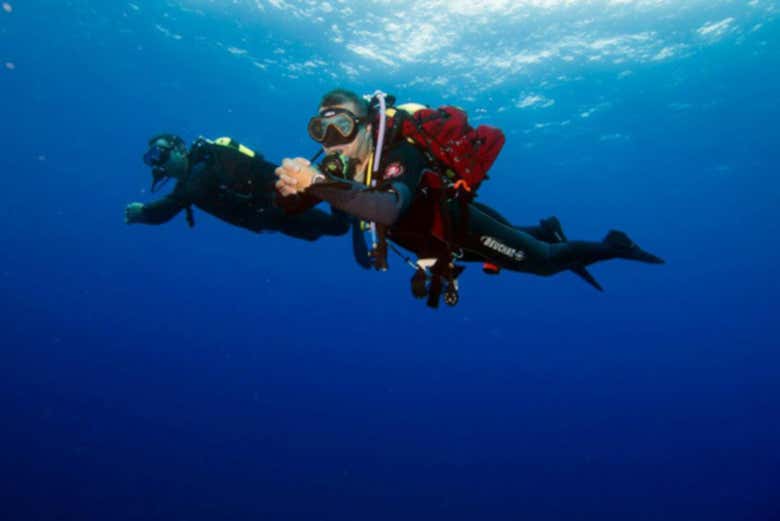 Swimming under the ocean waves