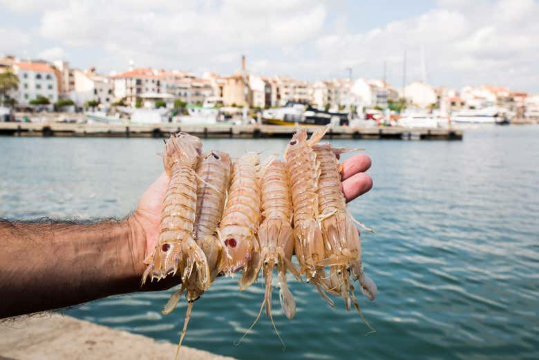 Galera, marisco típico de Cambrils 