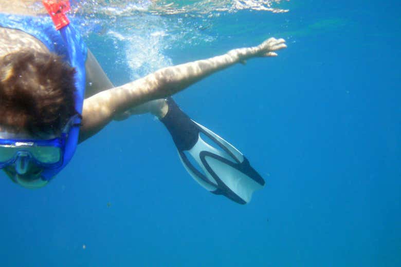 Snorkeling