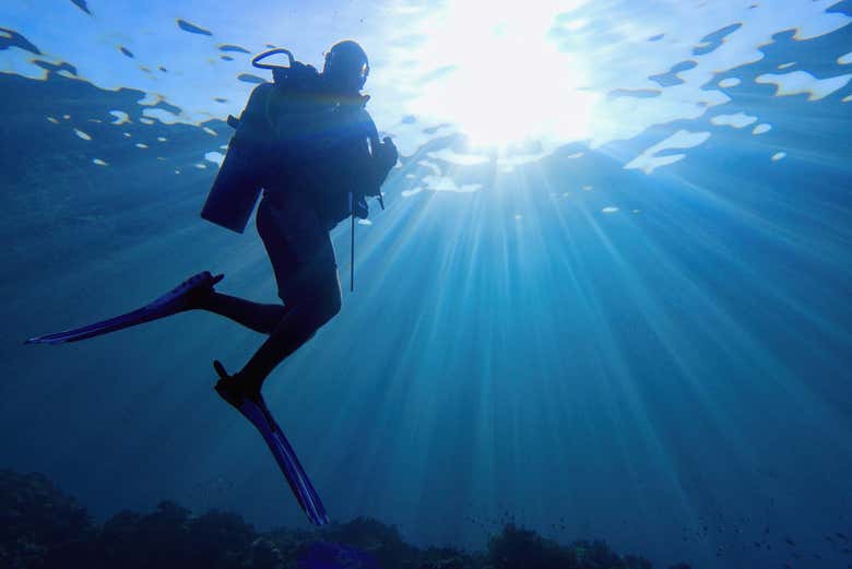 Diving in Cambrils
