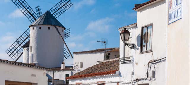 Tour por Campo de Criptana + Entrada a un molino