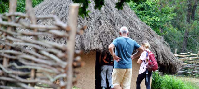 Visita guiada por el Parque Arqueológico de Campo Lameiro