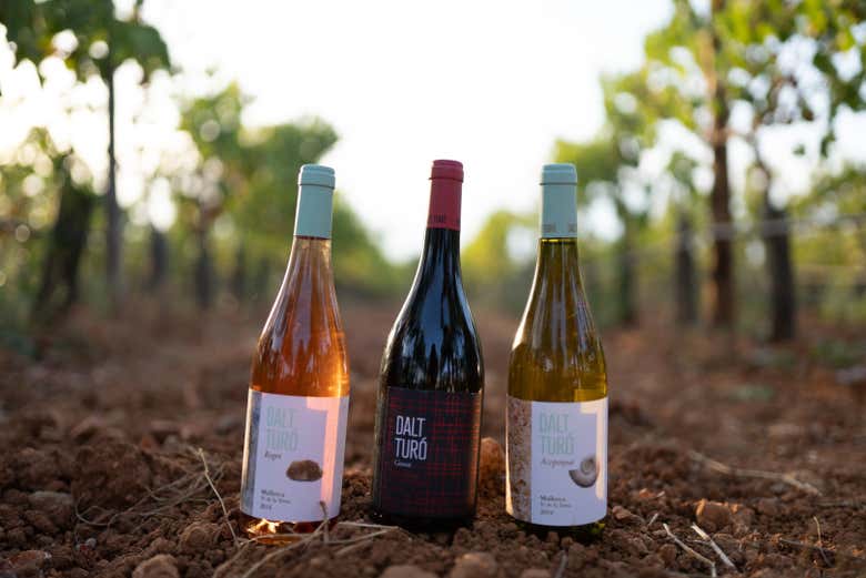 Viñedos y vinos de Dalt Turó