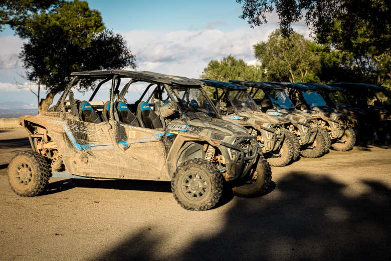 Véhicules préparés pour la balade en buggy sur l'île de Majorque