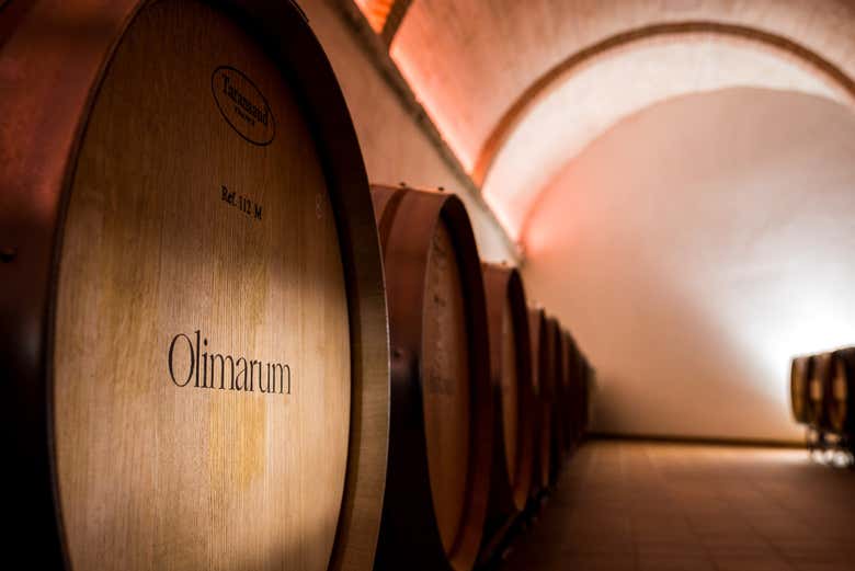 Barricas de vino de las bodegas Olimarum