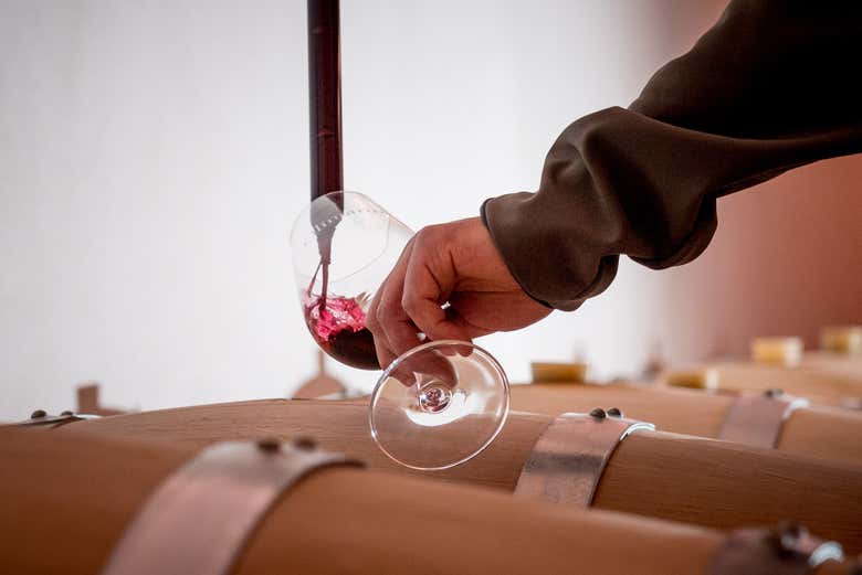 Apreciaremos los matices que cada barrica confiere al vino