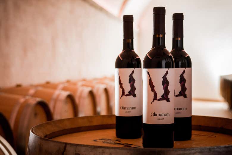 Bottiglie di vino della cantina Olimarum