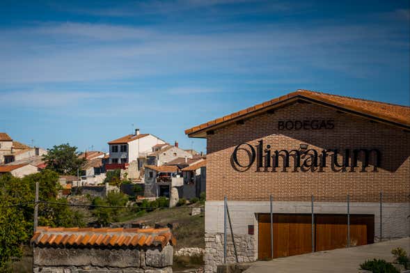 Visita alle cantine Olimarum