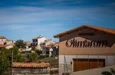 Visita a las bodegas Olimarum
