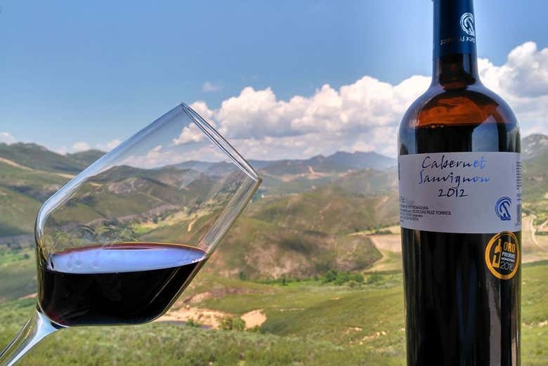 Cata de vino