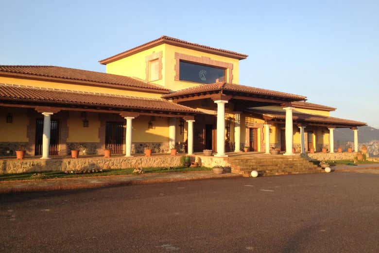 Bodegas Ruiz Torres