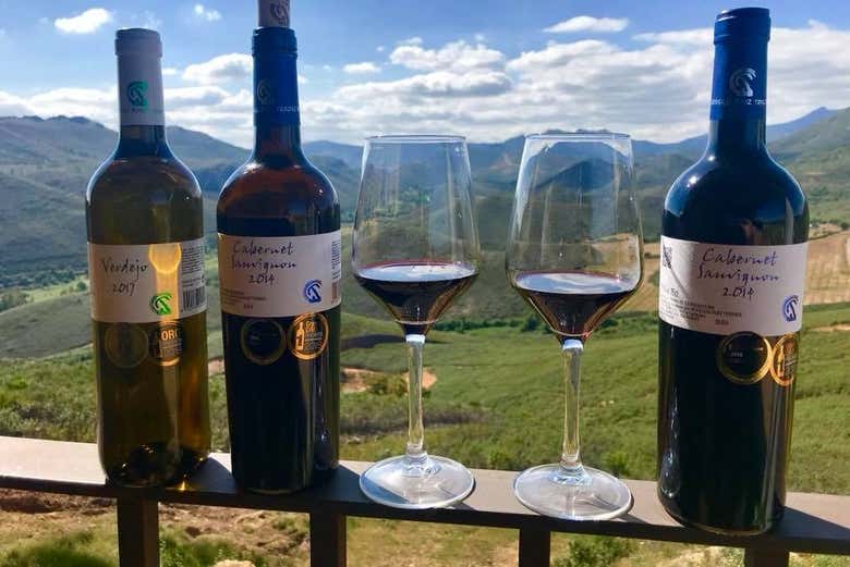 Vino de las bodegas Ruiz Torres