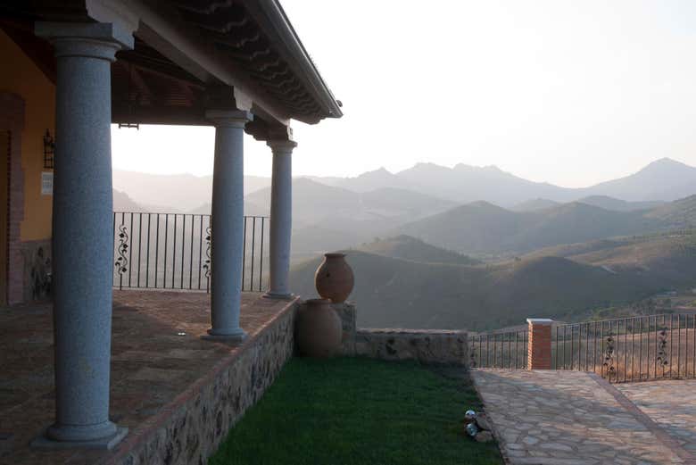 Vistas desde las bodegas