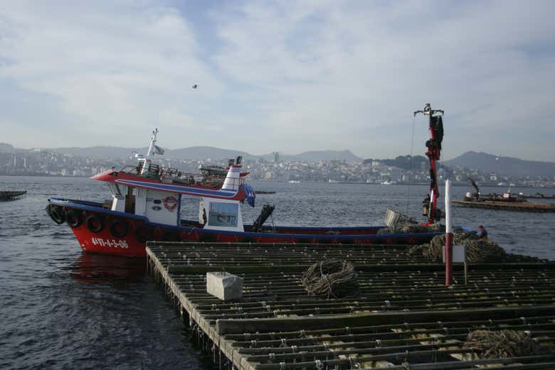 Bateau de pêche