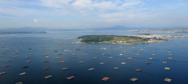 Paseo en barco por la Ría de Vigo + Degustación de mejillones