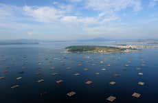 Paseo en barco por la Ría de Vigo + Degustación de mejillones