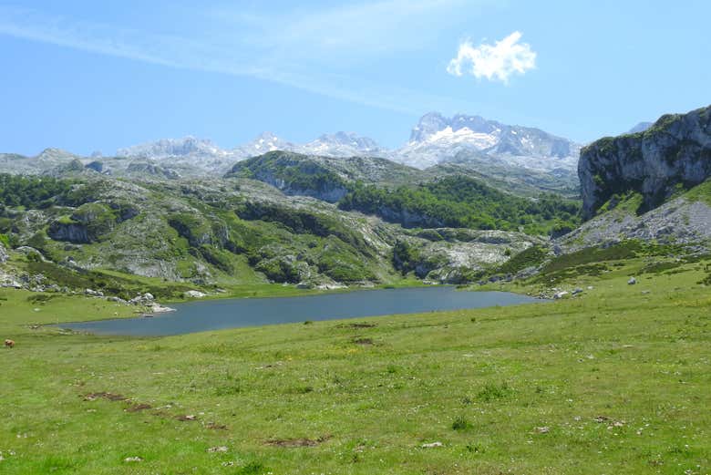 Alla scoperta dei laghi di Covadonga