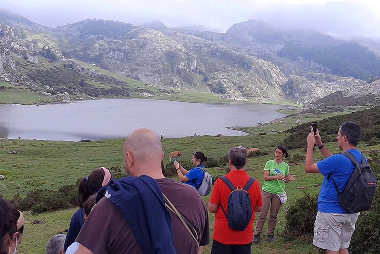 Avistamento da fauna dos lagos de Covadonga