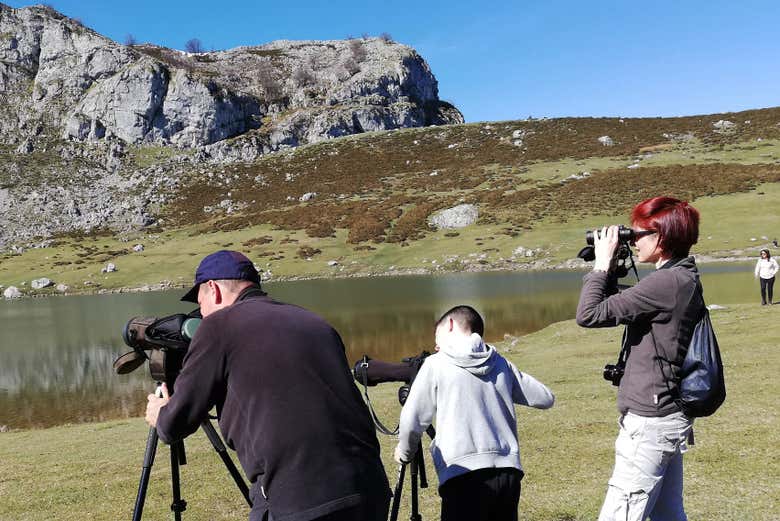 Durante l'esperienza di birdwatching