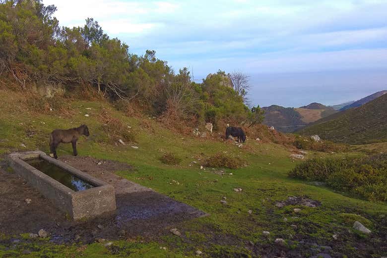 Respirando ar puro no meio da natureza
