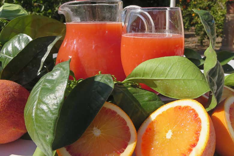 Degustación de zumo
