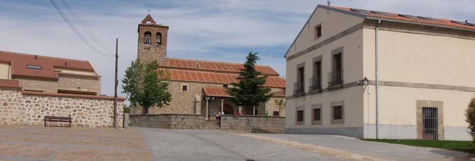 Cardeñosa