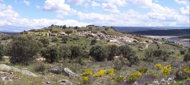 Visita guiada por el Castro de Las Cogotas