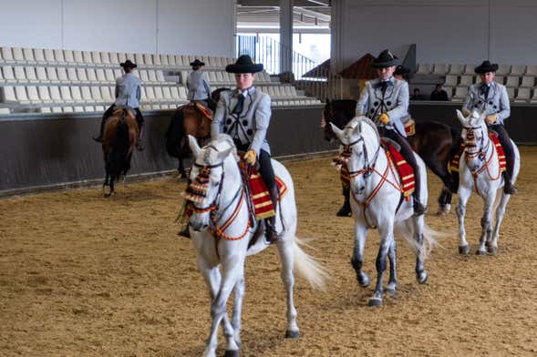 Espetáculo equestre em Carmona