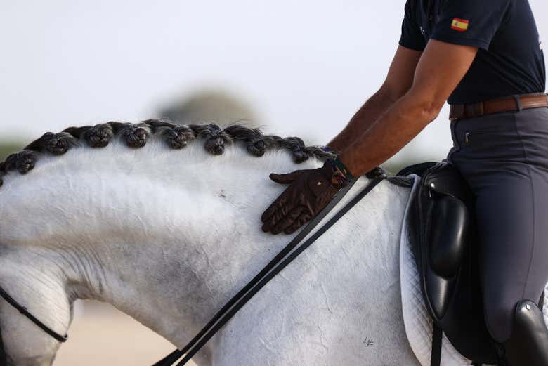 La compenetración es total entre caballos y jinetes