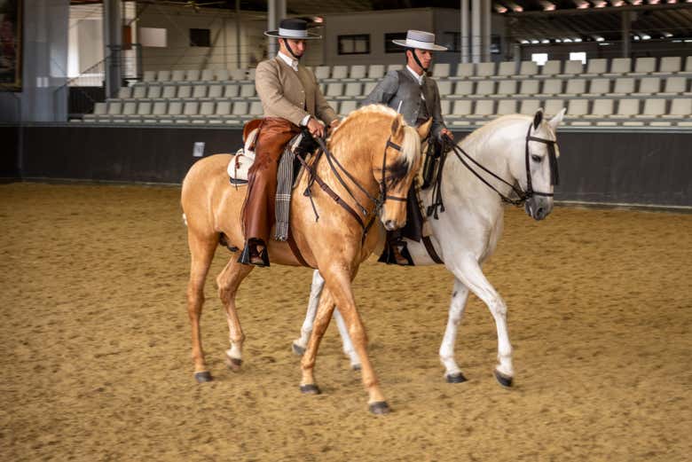 Trotando sobre la pista