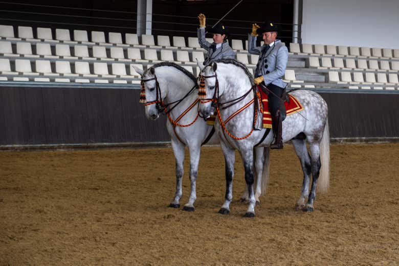 Caballos y jinetes se coordinan a la perfección