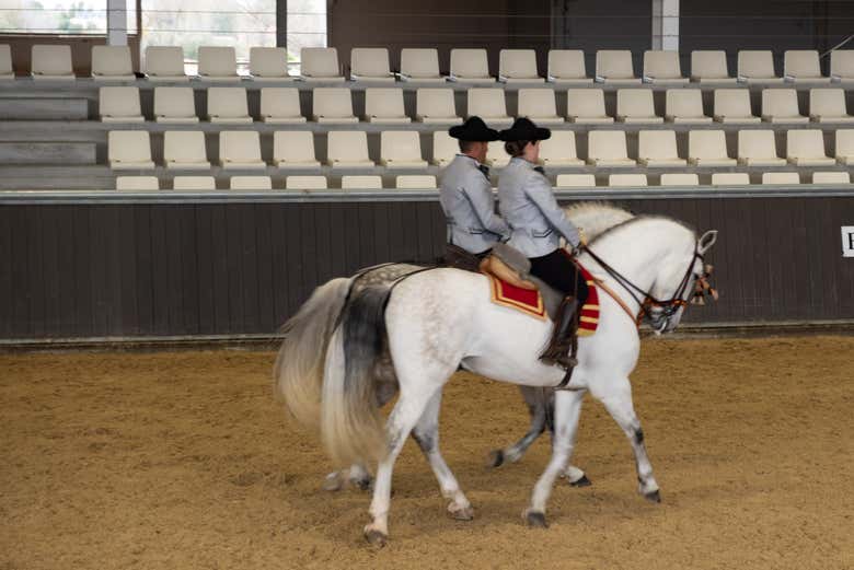 Trotando al son del espectáculo