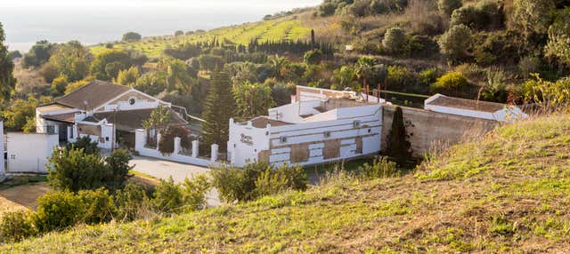 Visita a la destilería Puerto de Indias