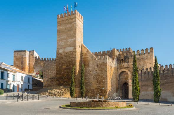 Visita guiada por Carmona