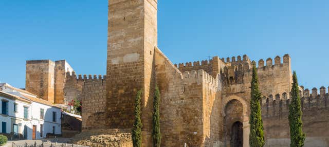 Carmona Church & Alcazar Tour