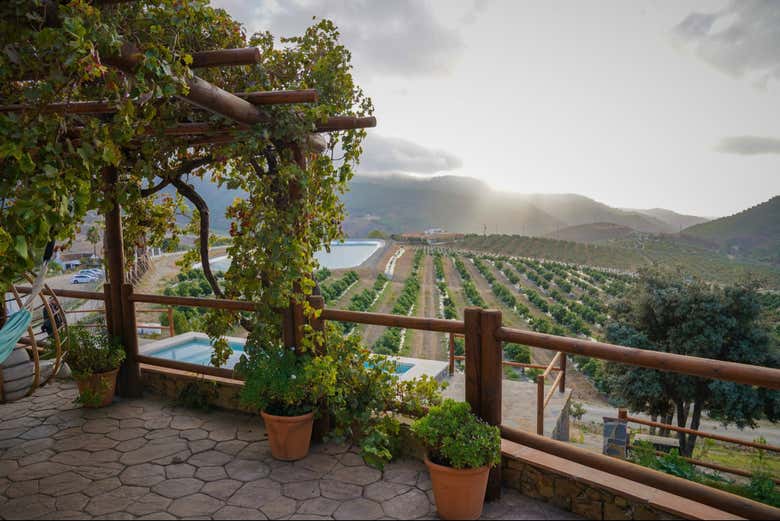 La vista dalla terrazza della tenuta Solmark