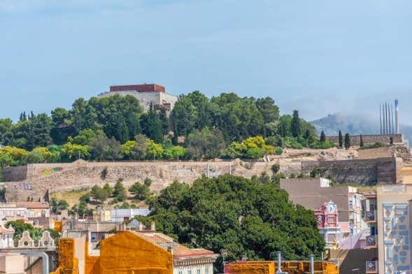 Billet pour le Château de la Concepción + Ascenseur panoramique