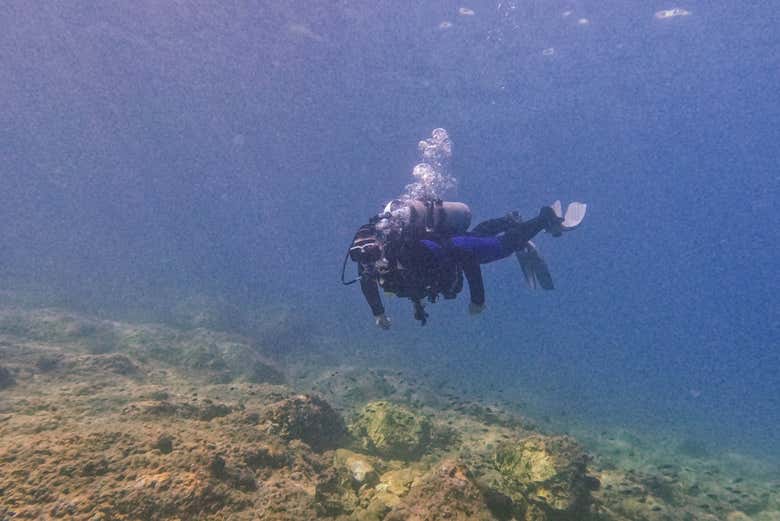 Discovering the biodiversity of Cala Portals Nous