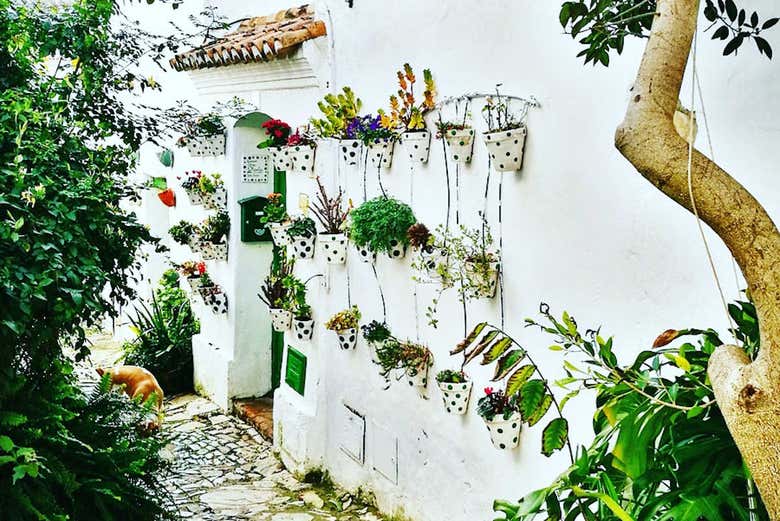 Casas de Castellar Viejo