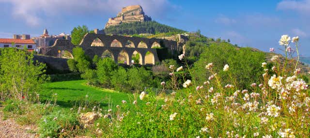 Morella Day Trip